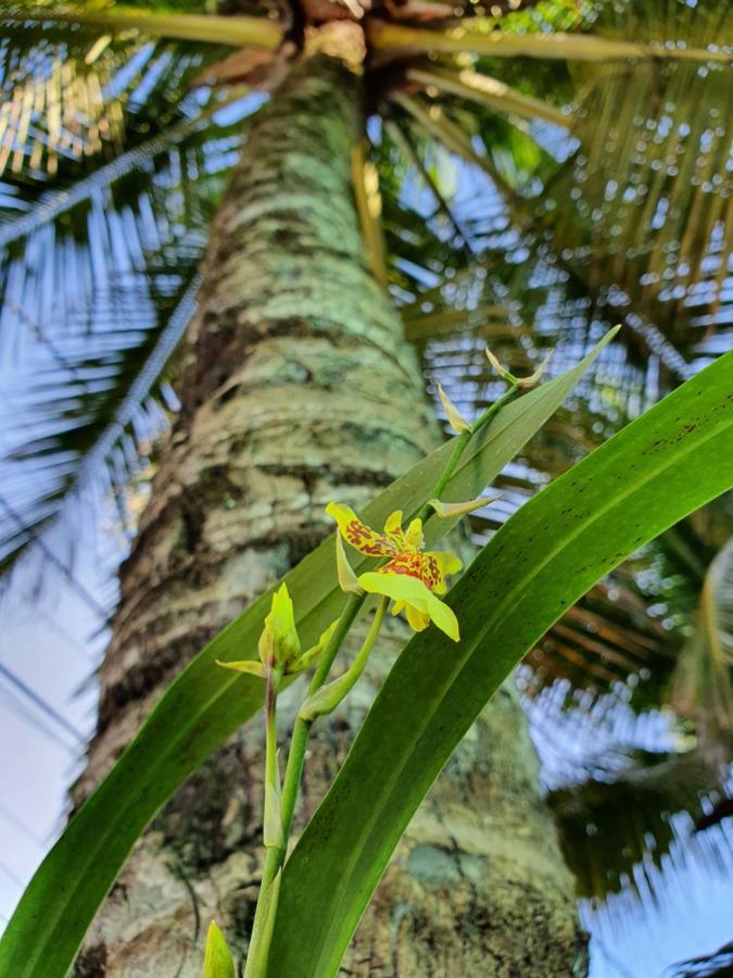 Pousada Arraial Caribe Арраял-ду-Кабу Экстерьер фото